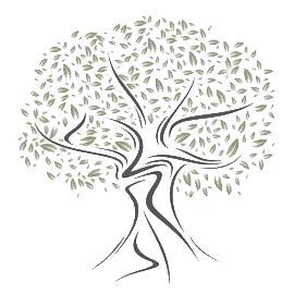 Aiolos Olivenbaum Faires Olivenöl aus Griechenland