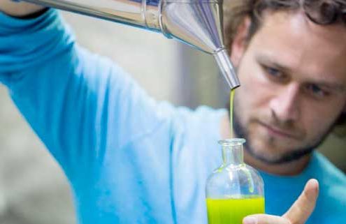Aiolos Faires Olivenöl Qualität vor Quantität