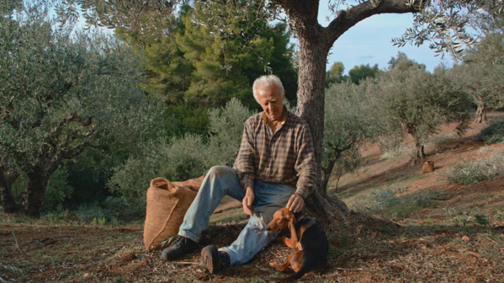 Mr. Manolakis mit seinem Hund bei der Ernte